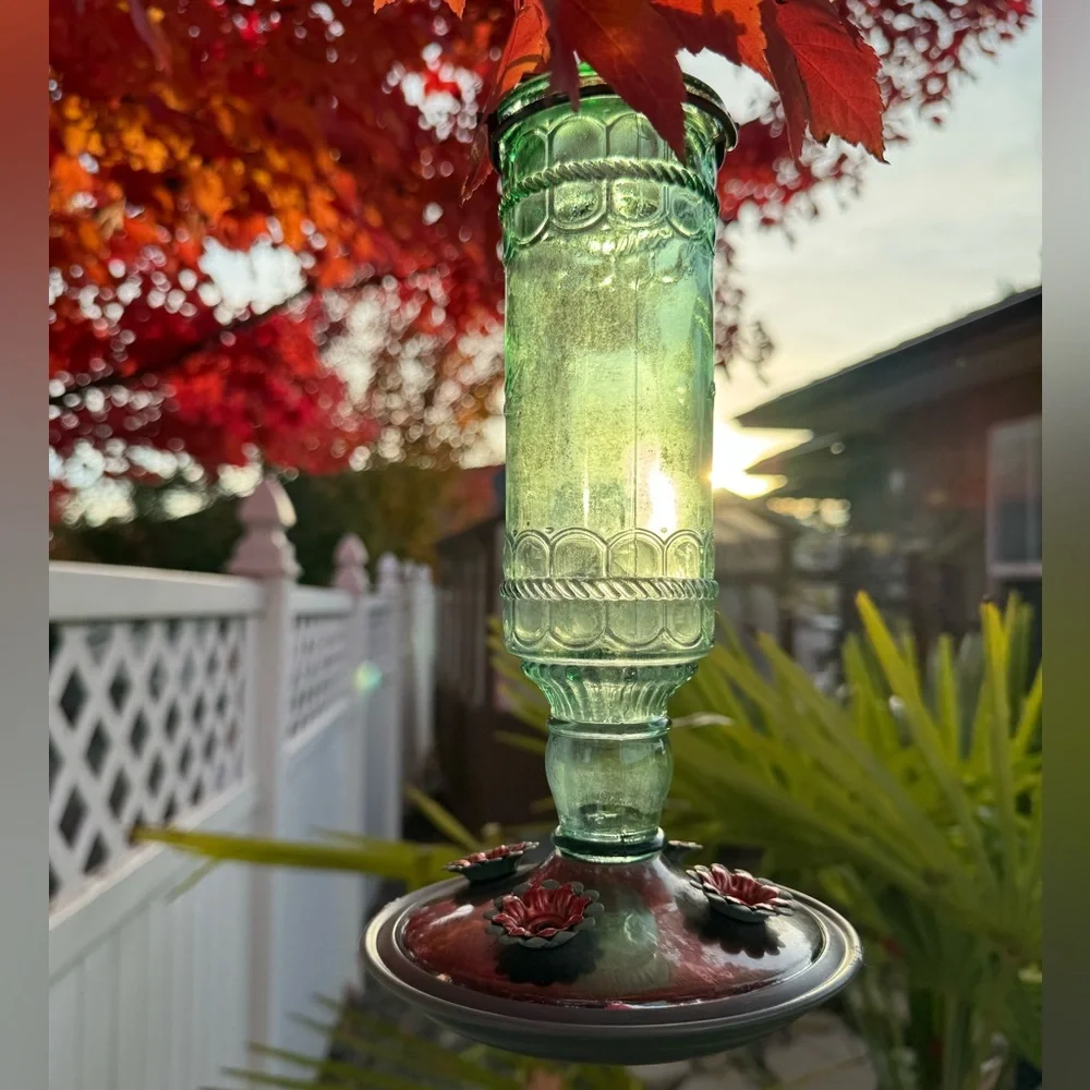 Glass Hummingbird Feeder